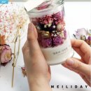 메일리데이 이미지