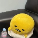 팽성남로 | 평택 팽성 Y2디테일링 평택손세차장 리뷰 아빠랑 세차하고 온 날!