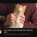 테크노pc방 | 내 맘대로 되지 않는 것은 날씨 뿐만이 아니다