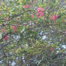 프라도호텔 이미지