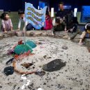 조아수산 이미지