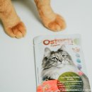 투비어스 이미지