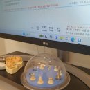 연세베스트치과의원 이미지