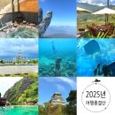 인터쿨 | 2025년 해외여행 총 결산, 가장 자주 출국한 해가 되겠다