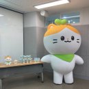 농촌진흥청 국립식량과학원 | [공지] 국립식량과학원의 캐릭터 식냥이와 쌀냥이 제작과정