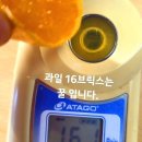 고당도 유라실생 쎄일합니다. 이미지