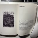 화강교