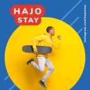 스테이현재 | 영국 카라반으로 즐기는 양양하조스테이 — 바비큐·반려견 동반 가능