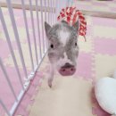 세종월드 이미지