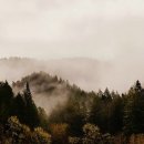 레이센(주) 이미지