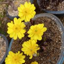 복수농장 이미지