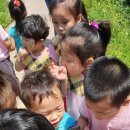 나래어린이집 이미지