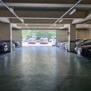 프리마루체 이미지