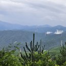 근덕목장 이미지