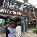 [춘천 카페] 솔향 가득한 8천 평 소나무숲, 소울로스터리커피 옥수수커피 후기