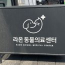 신월라온동물의료센터 이미지