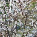 세동산골농원 이미지