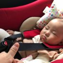 77수족관 이미지