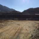 인제스피디움 주유소 이미지