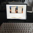 황금스파 이미지