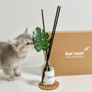 강아지 탈취제 대신 집 고양이 냄새 제거는 바트밋