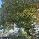 김밥여행 | 경주 교리김밥 본점 - 경주여행 경주 김밥 맛집 솔직 후기