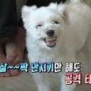 W 치과의원 이미지