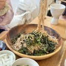 [서울/망원] 건강한 한 끼가 생각날 때 풀 발효부엌 망원동 채식 비건 식당 후기