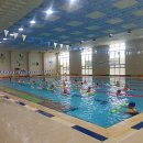 조종국민체육센터 수영장 이미지