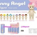 엔젤플라워 이미지