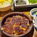 원퍼밀상암디디엠씨점 | 양산도 히츠마부시 민물장어덮밥 맛집 한마리 후기