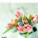 두산1리경로당 이미지