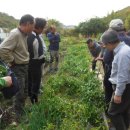 안산이농장 이미지