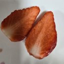 상하2통 이미지