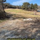 신동-118 이미지