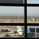 3082 | 나고야에서 도쿄 나리타 일본 국내선 JL3082 탑승후기 (JAL Japan Explorer Pass, 일본 국내선 도시락)