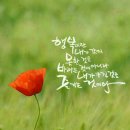 베스트식품