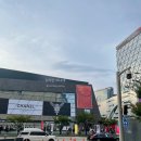 크리스탈 780 | 부산 센텀 | 영화의전당 부국제 6구역 관람후기 제30회 부산국제영화제 개막식