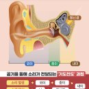 생명과학교육연구회 이미지