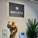 육체미 연구소 이미지