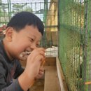 케이타이거즈(KTIGERS) 태권도장 이미지