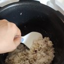 쿠쿠용두점