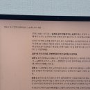 스폰지클럽 1기 1주차 후기 | AI로 나만의 OS 만들기 ft. 셀피쉬클럽