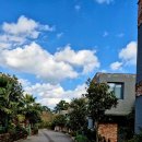 솜솜이네 이미지