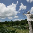 태양마을 이미지