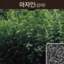 좋은비전주 티스토리