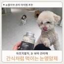 고양이눈 | 고양이, 강아지 눈물자국 관리, 간식처럼 먹이는 고함량 눈영양제 후기