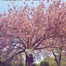 왕인박사마을 | 영암여행 놓치면 후회! 영암 왕인박사 유적지 ,영암 관광명소