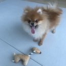 포메민박 이미지