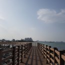 바다의 언덕 호스텔 이미지